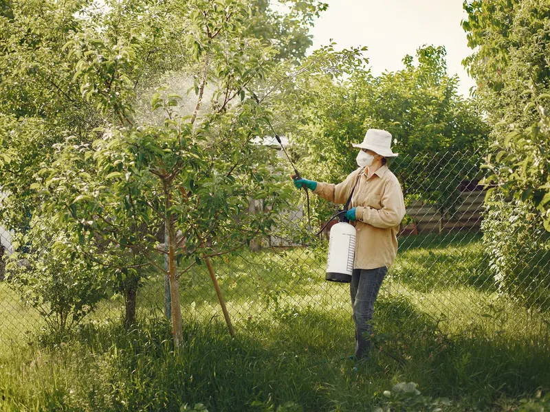 Technician doing pest control spraying